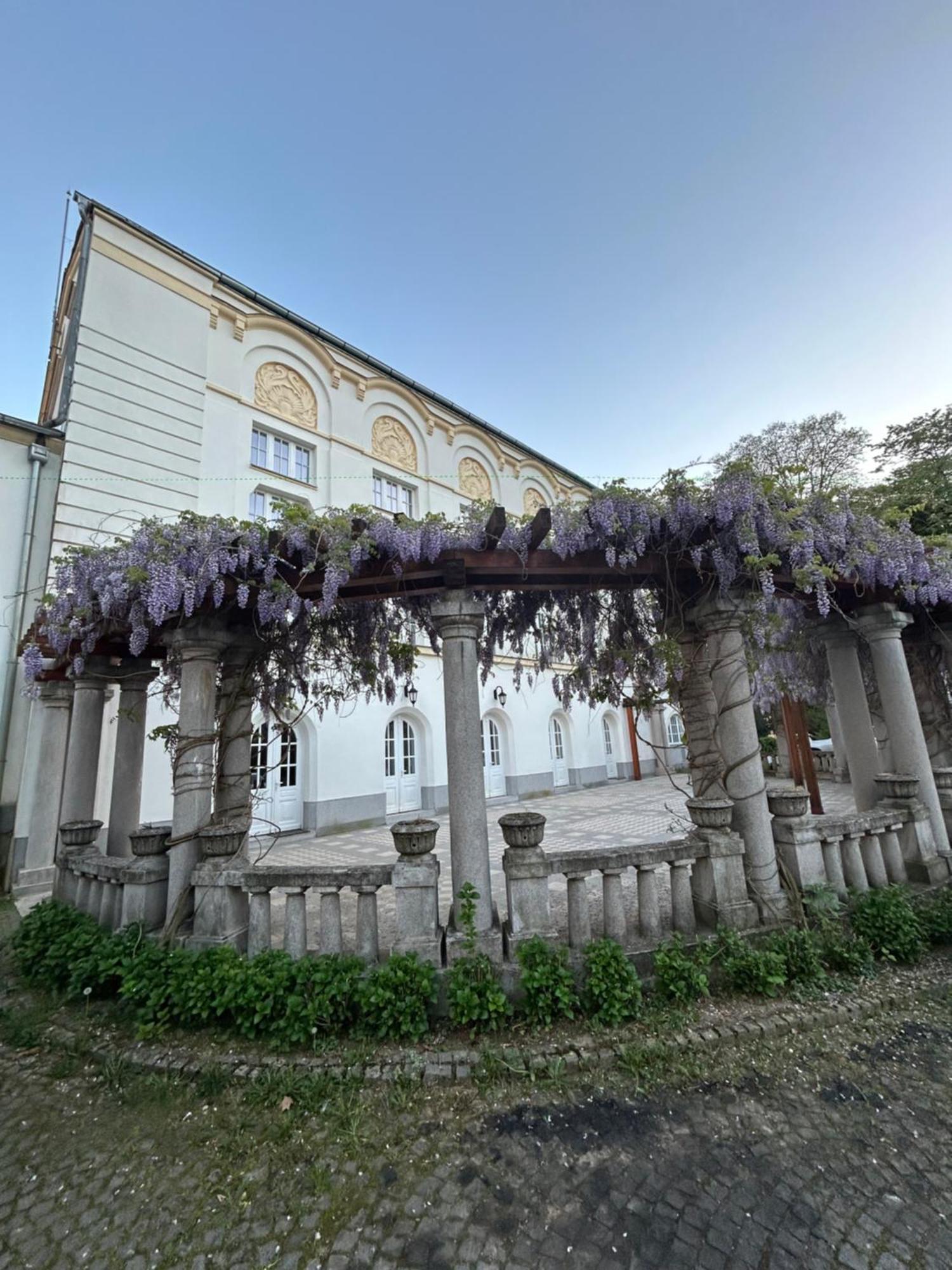 Vila Drina Apartments Banja Koviljača Exterior foto